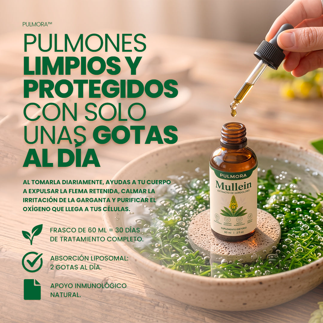 Respira profundo y con libertad: Limpieza pulmonar total en cada gota