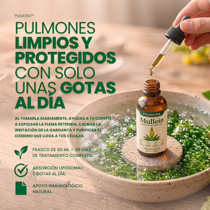 Respira profundo y con libertad: Limpieza pulmonar total en cada gota